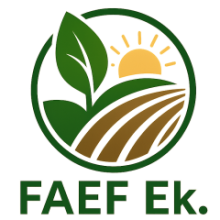 FAEF Butik